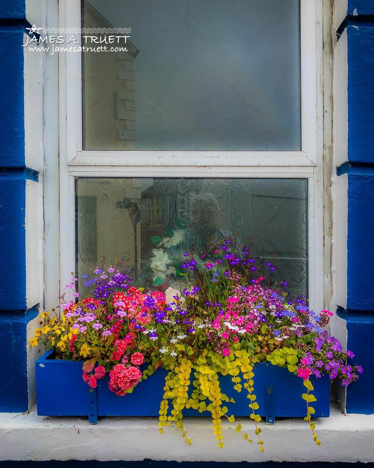 Window box Kelly's Kilrush