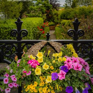 Entrance to the Griffin Garden, Ballynacally