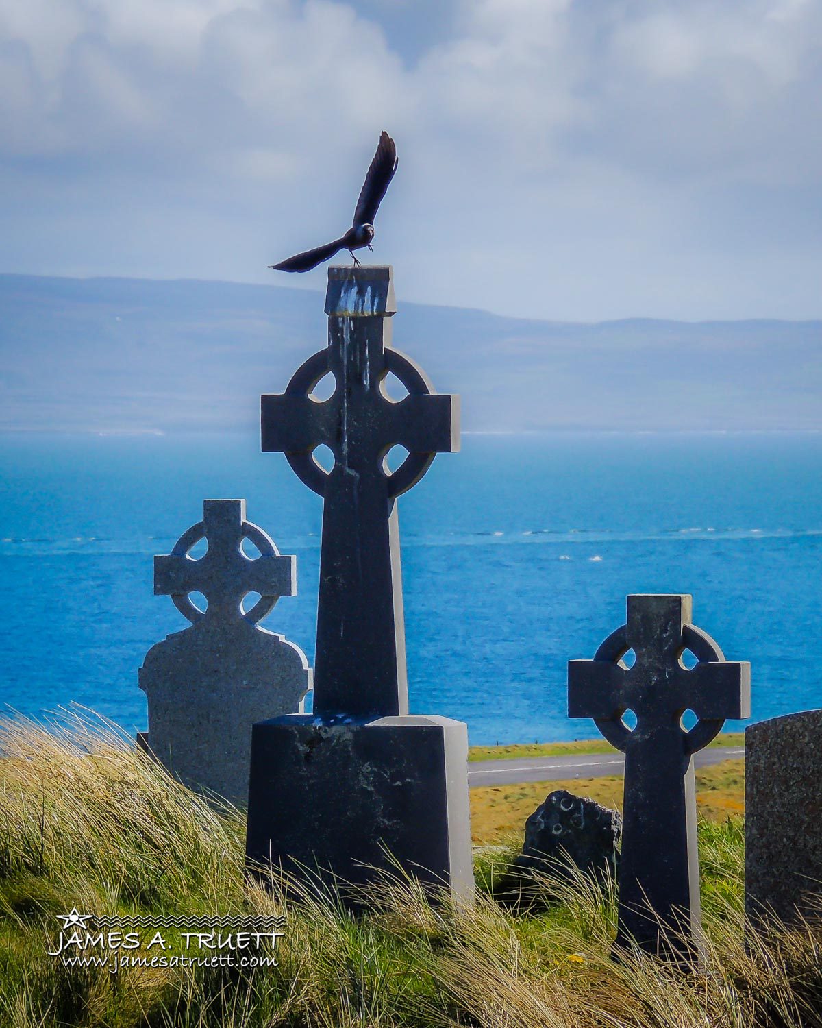 Bird on Celtic Cross, Aran Islands