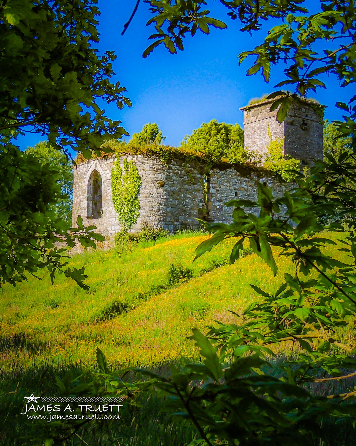 Clondegad Church Ruins