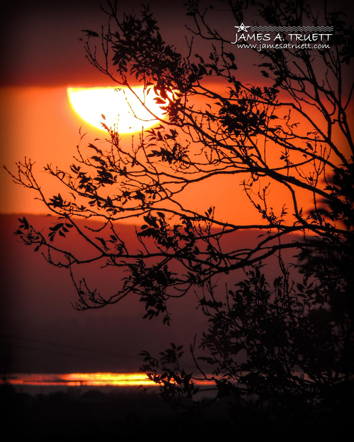 Shannon Estuary Sunrise