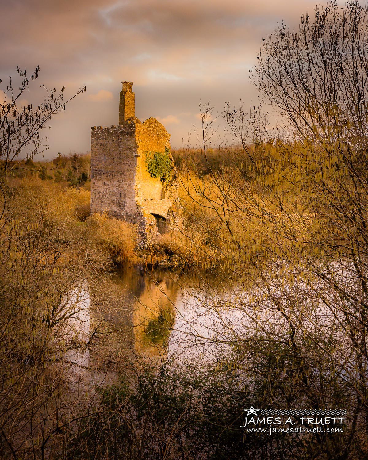 O'Brien Castle Dromore Wood