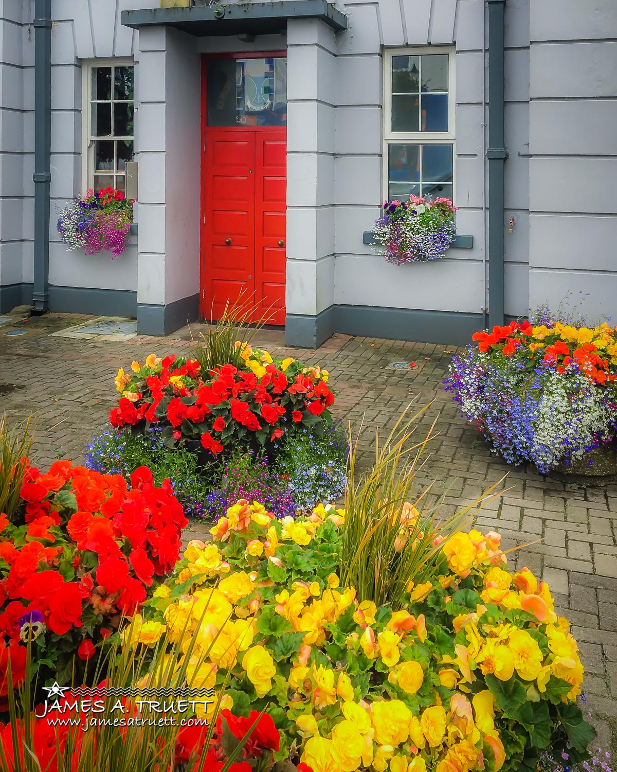 Summer Flowers of Kilrush