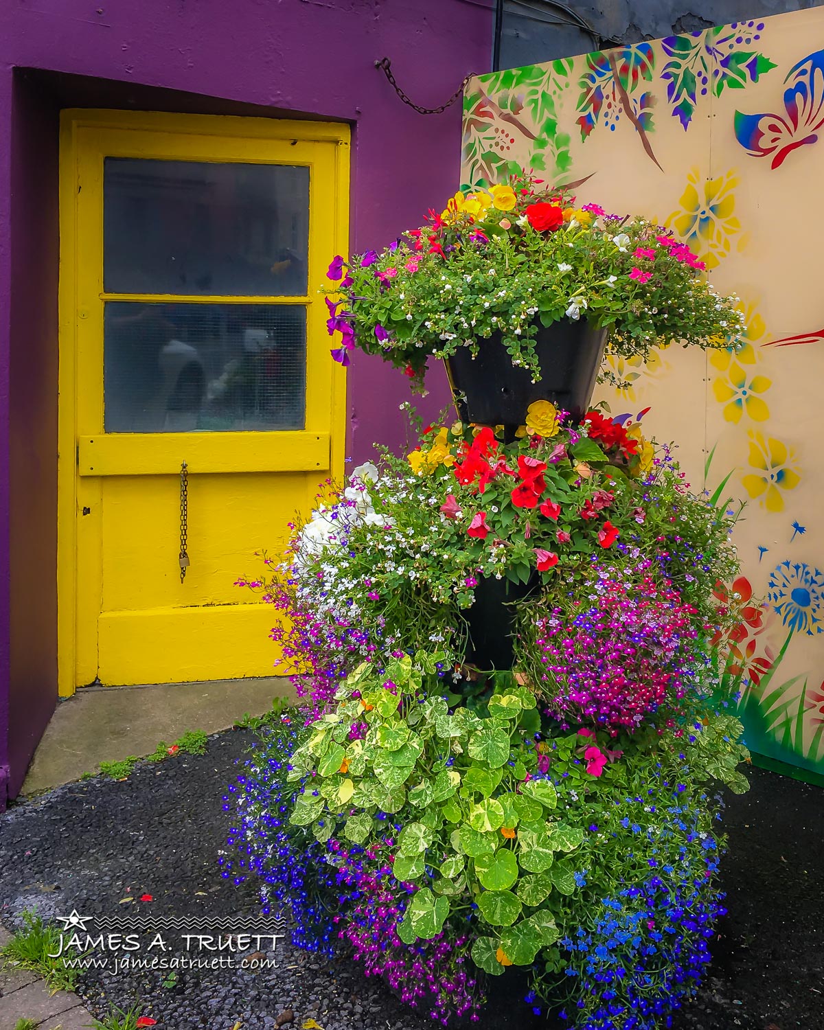 Interesting Mix of Colours in Kilrush