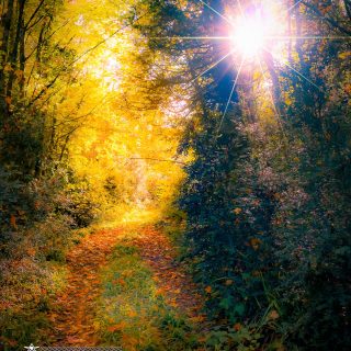 Sun Streaming through Paradise, County Clare