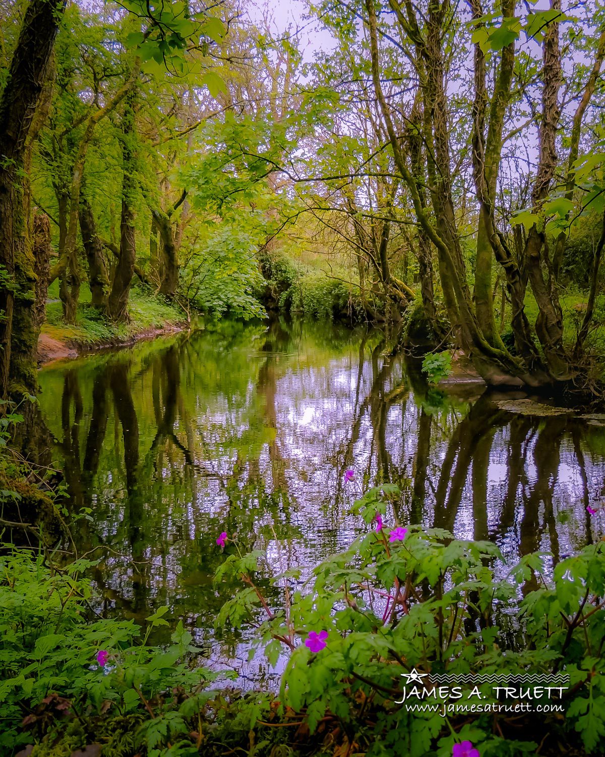 Streamstown River Reflections in County Galway