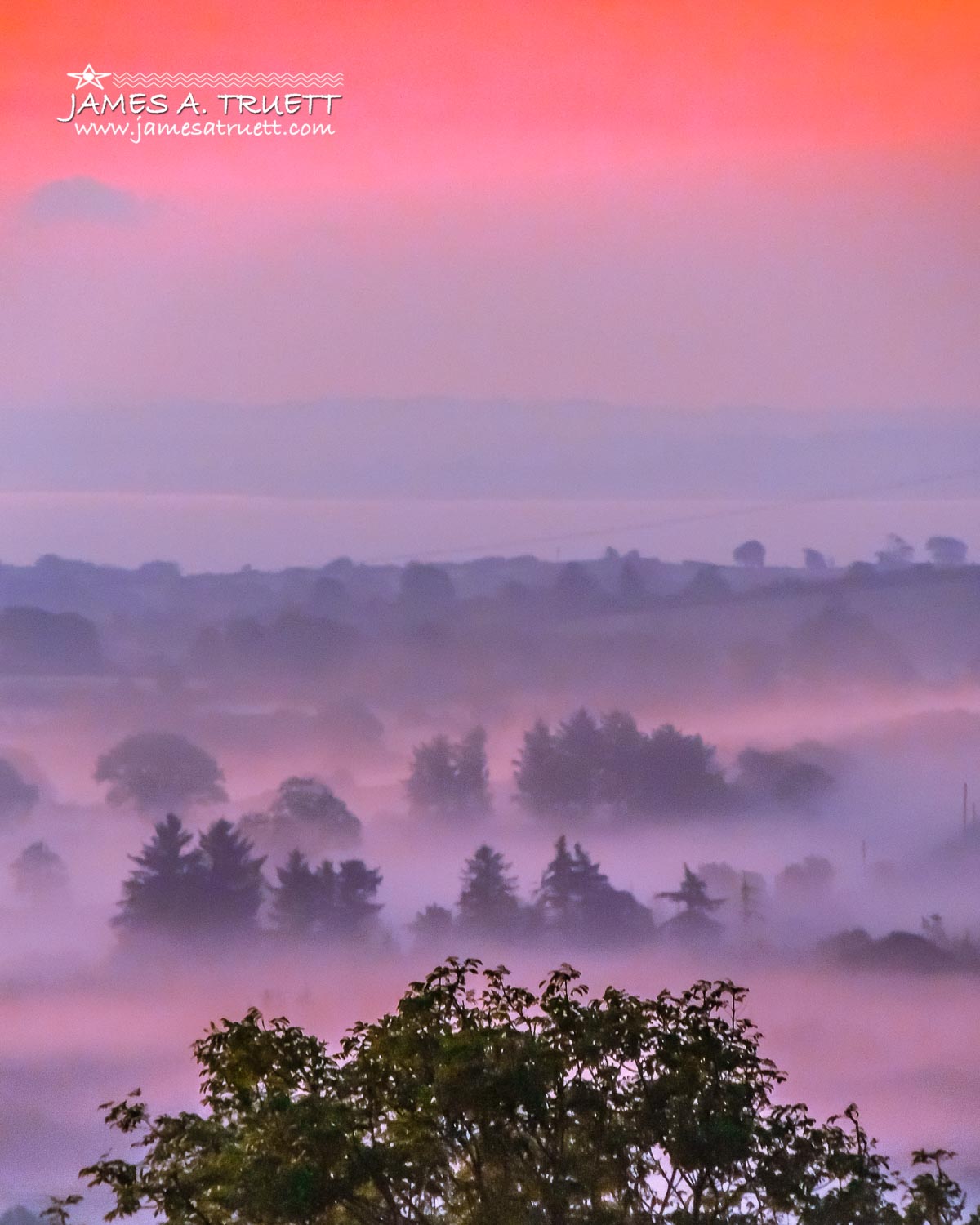 pink sunrise irish mist