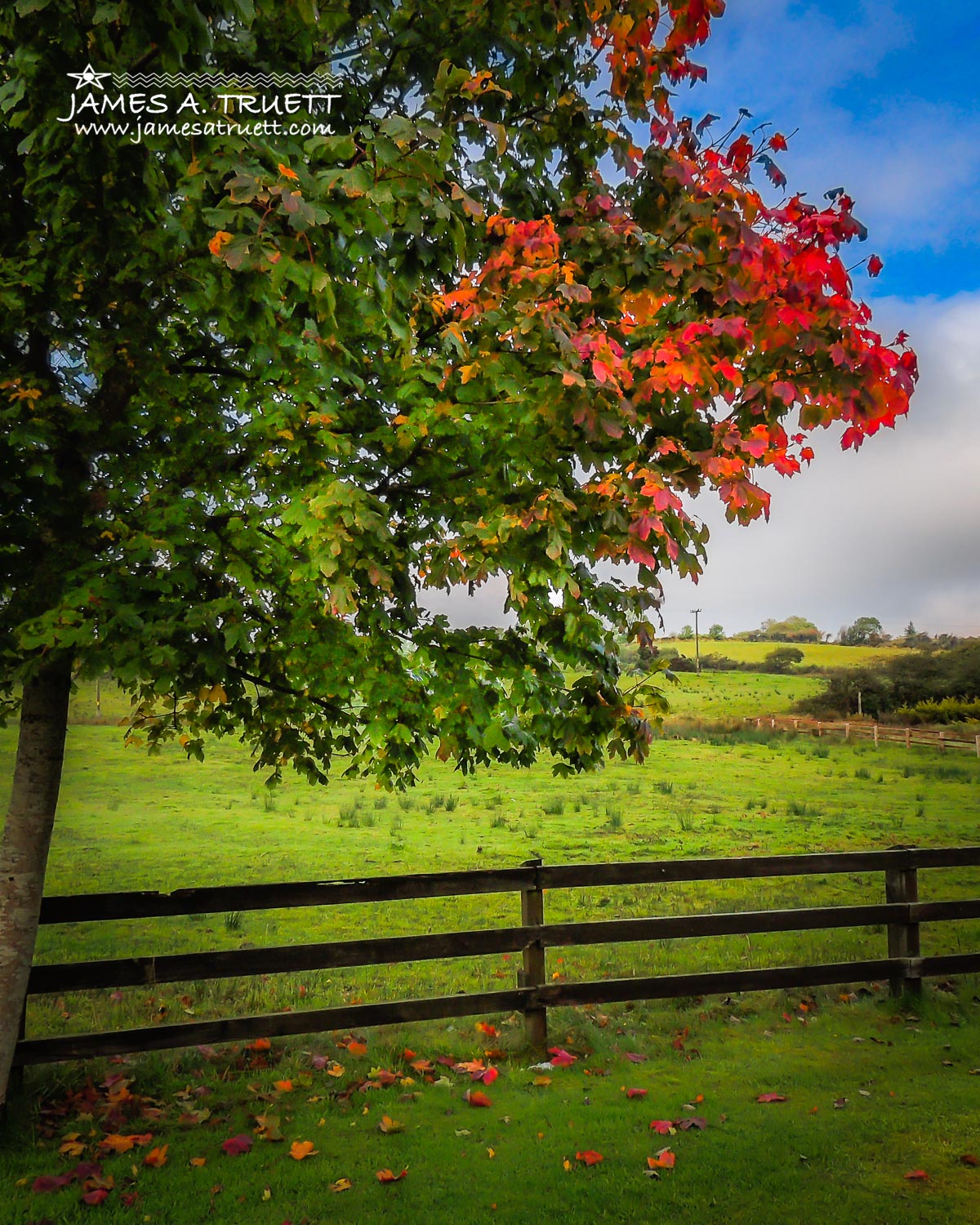 Hints of Irish Autumn