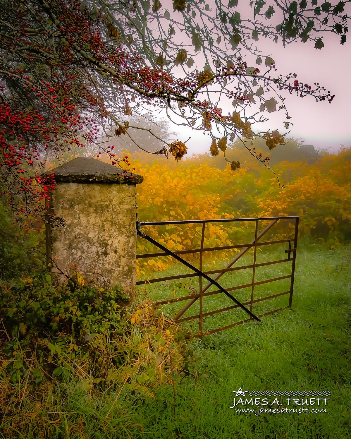 Gate to Misty Irish Autumn in County Clare