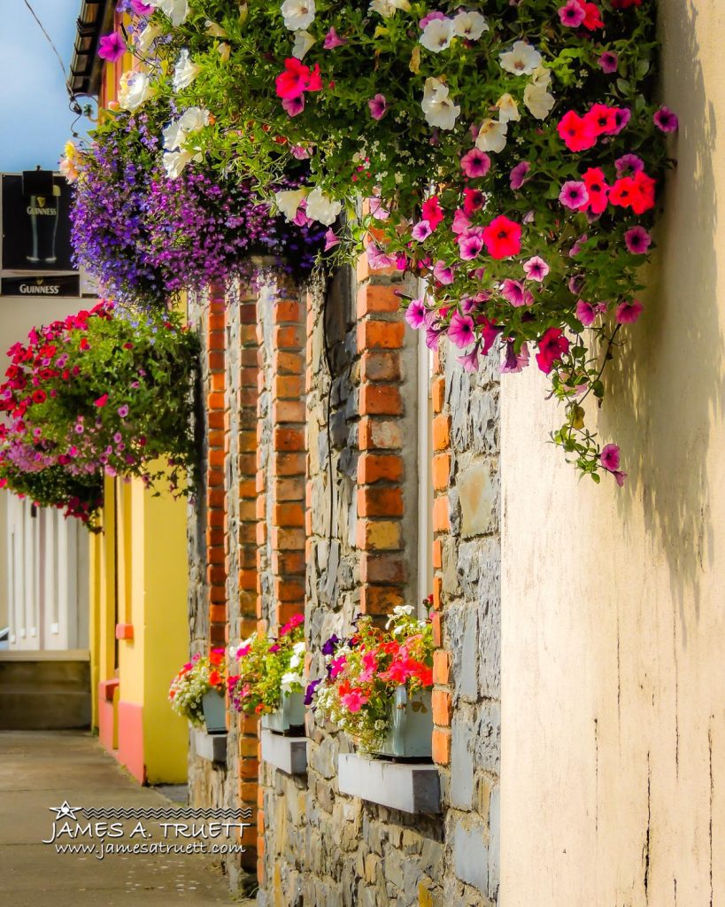 Kildysart flowers tidy towns