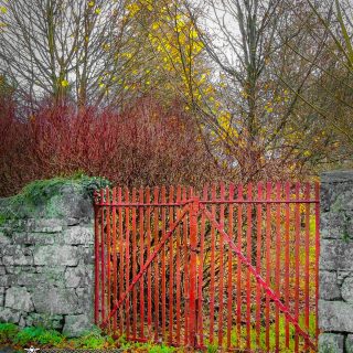 Red Gate in Autumn, County Galway