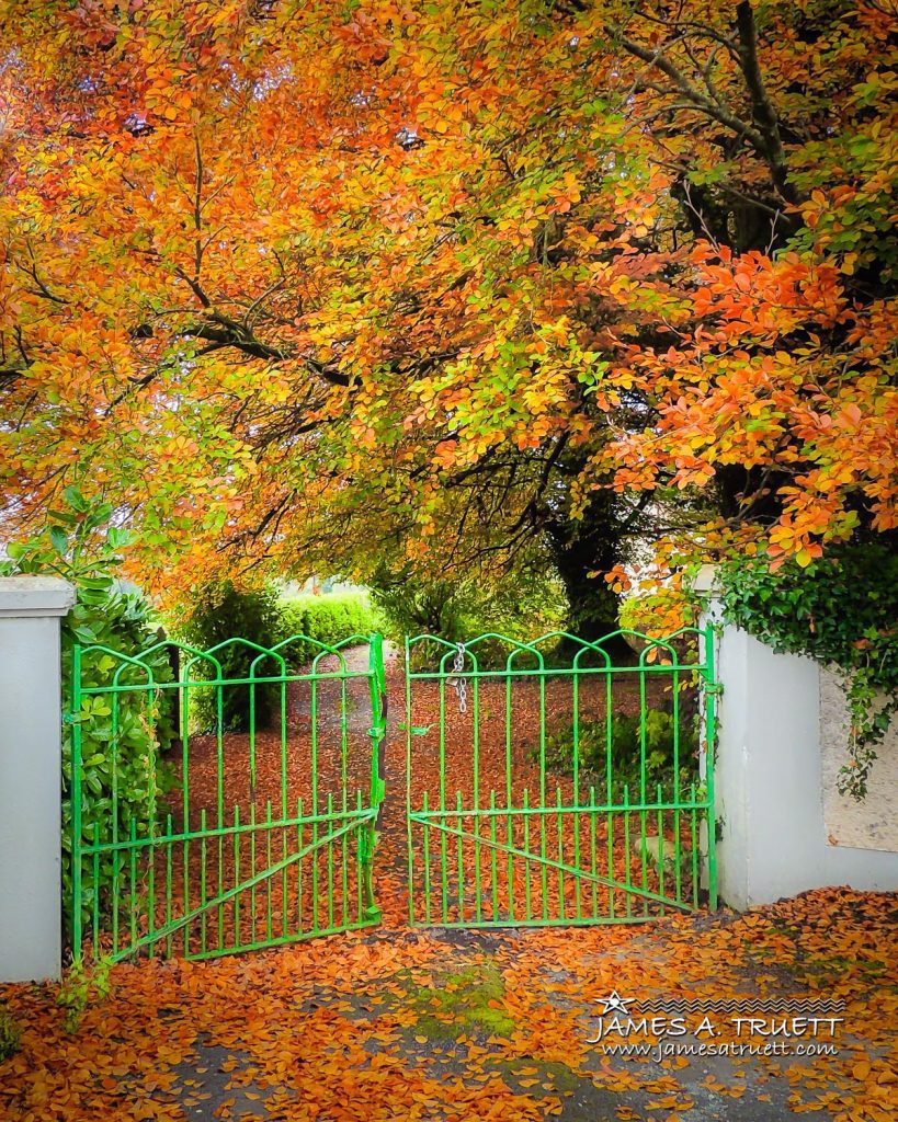 Green Gate in Autumn