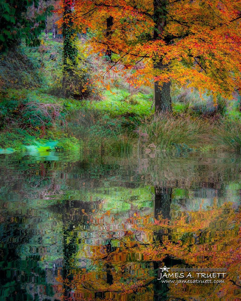 Autumn Reflections in the Irish Countryside.