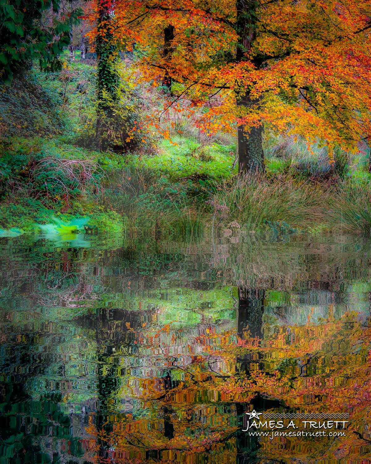 Autumn Reflections in the Irish Countryside