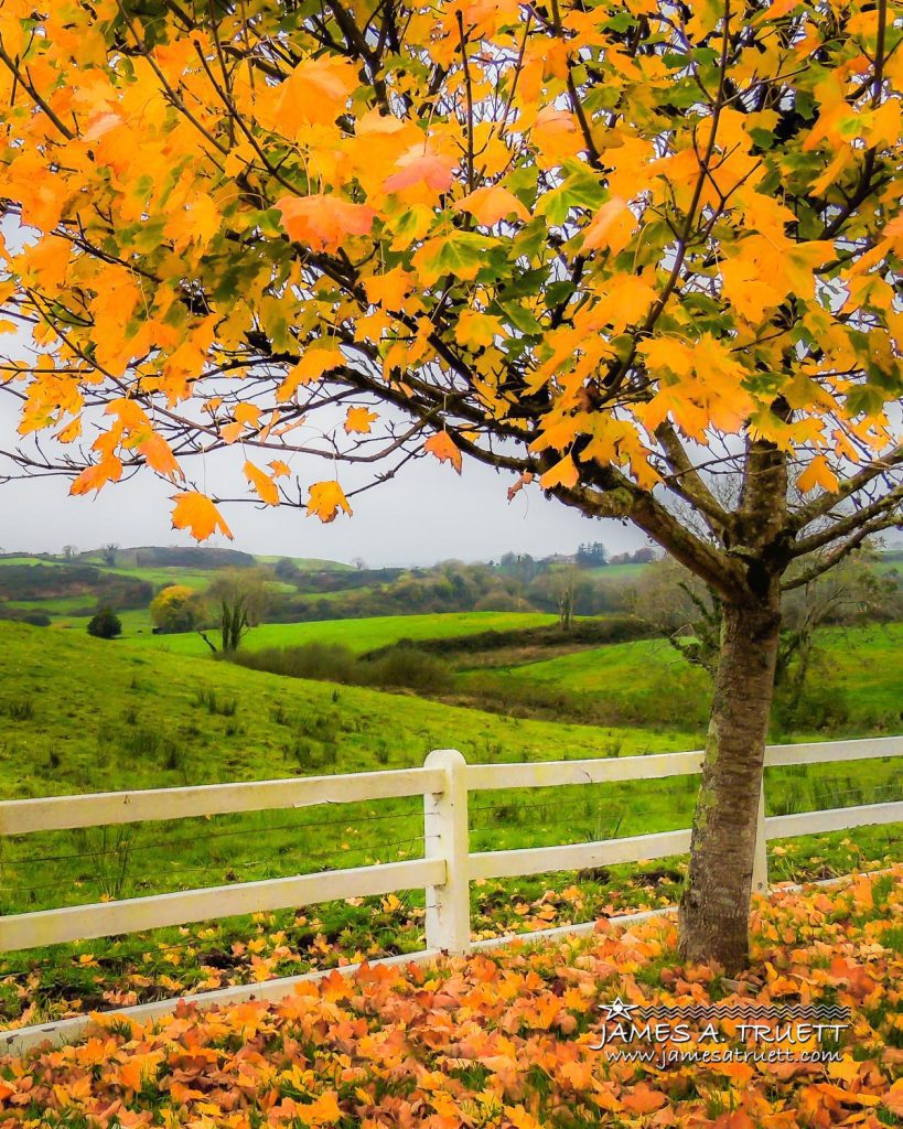 Ballynacally in Autumn