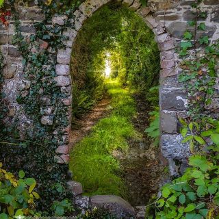 Tranquil Irish Path