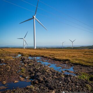 wind farm and bog