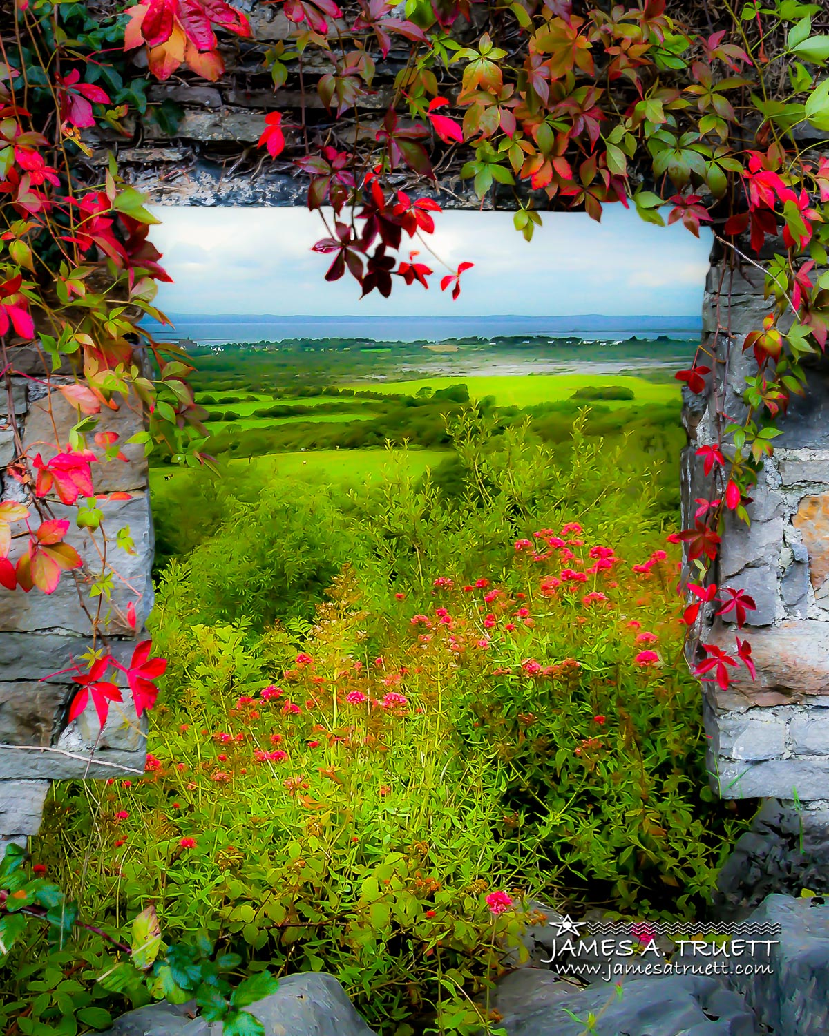 Irish Countryside Vista through Ivy-laced Stone Doorway