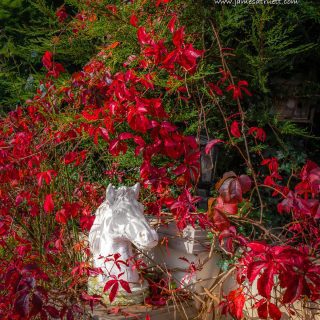 Horse sculpture Irish Autumn