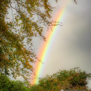 Autumn Rainbows in County Clare