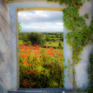 Summer in the County Clare Countryside