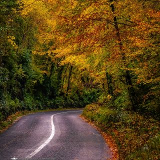 Country road through Paradise