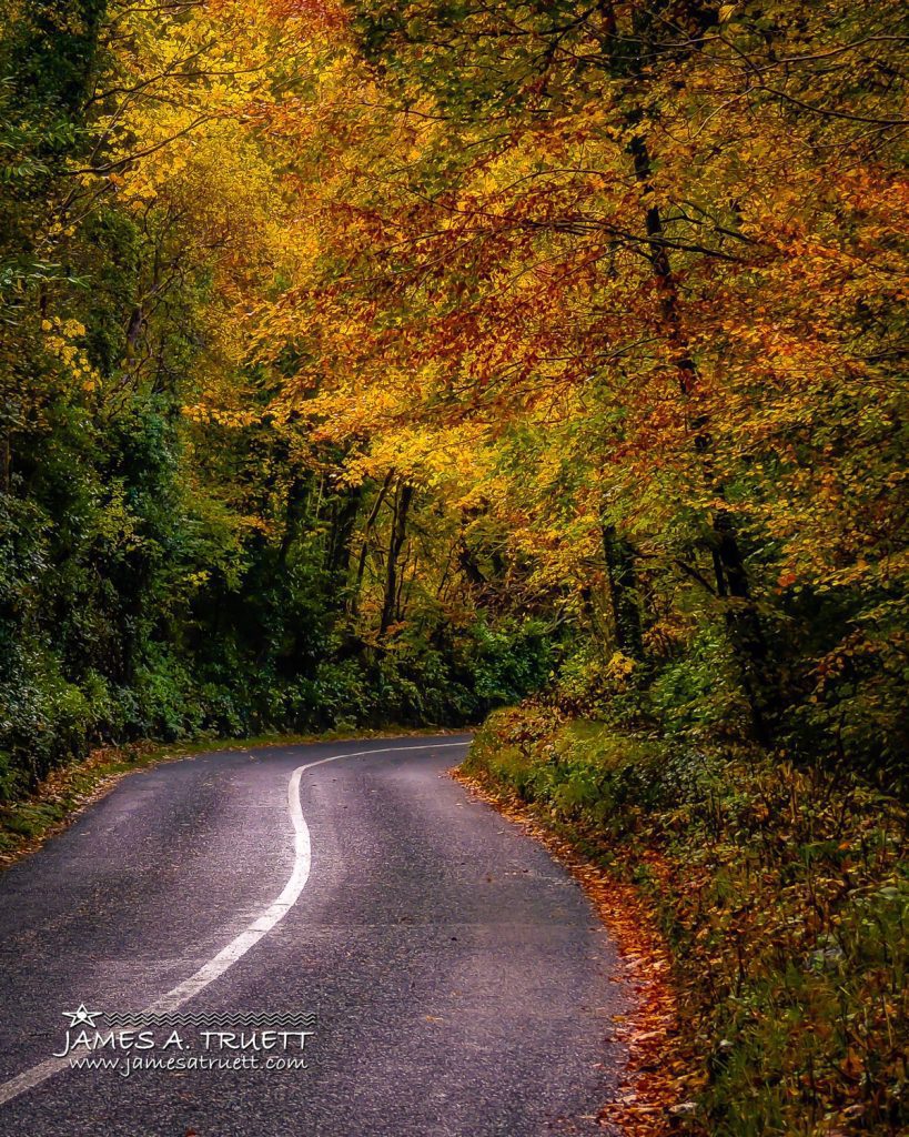 Country road through Paradise