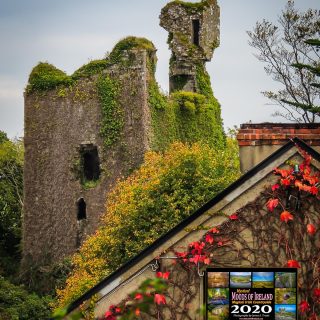 Dangan Castle, Ballyncally