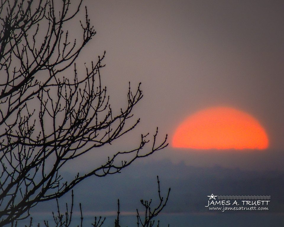 Autumn Sun shining through Irish Mist at Sunrise.